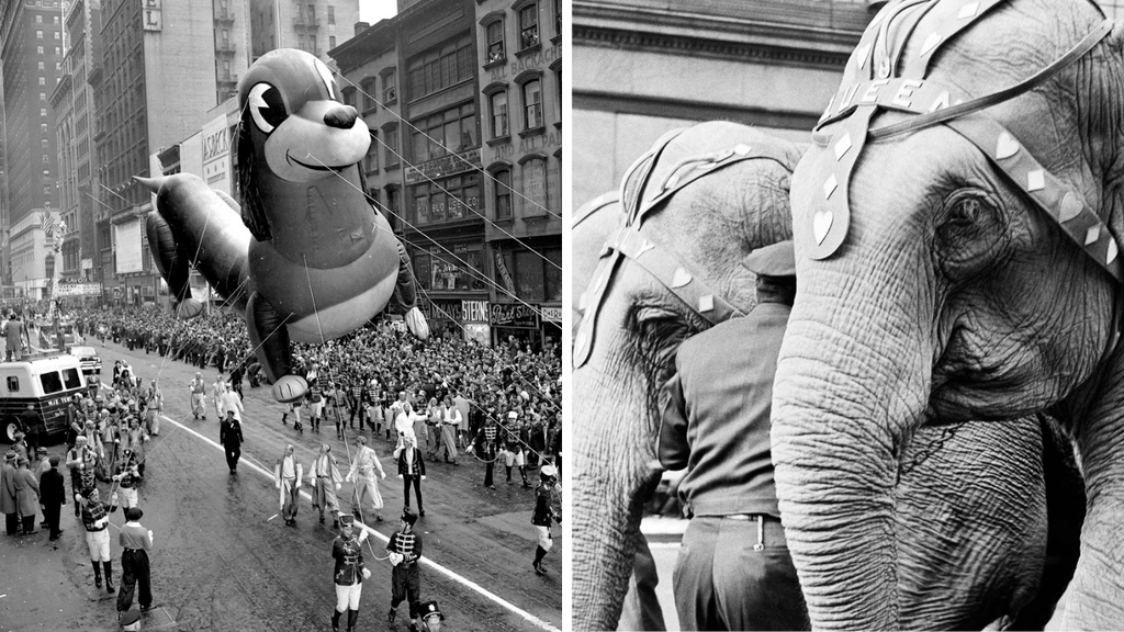 When Real Elephants Marched in the Macy’s Thanksgiving Day Parade – Yes ...